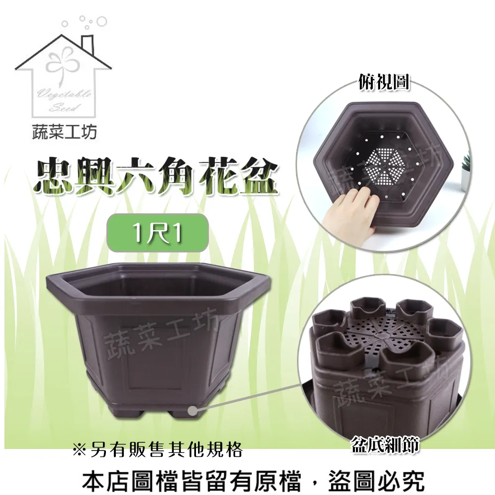 【蔬菜工坊】1尺長槽專用椰纖片 5片/包 歷史價格詳細信息