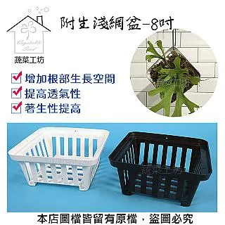 【蔬菜工坊】盆底網1尺*100尺-盆器排水孔專用防土壤流失(適用花盆.種植箱.花槽.長槽) 歷史價格詳細信息