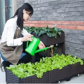 【珍愛頌】N051 種植箱 種菜箱 一格(40cm) 歷史價格詳細信息