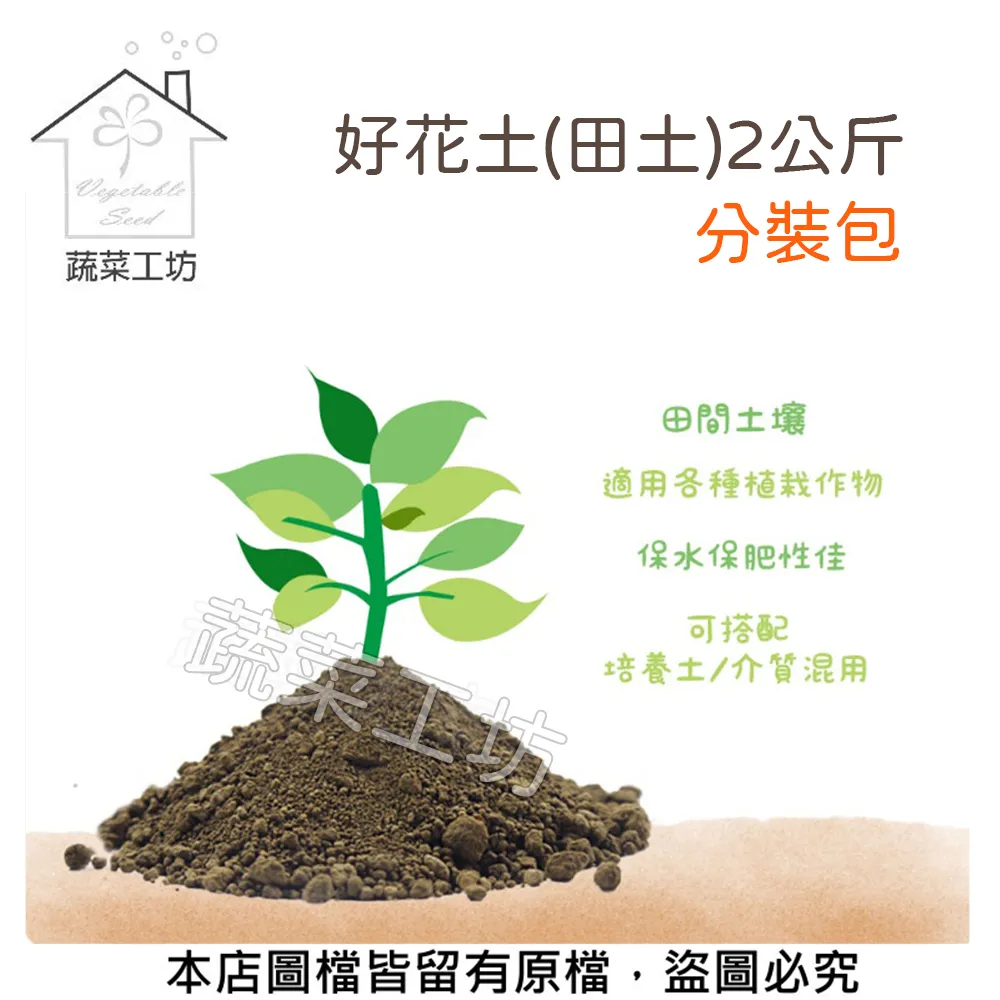 《好花祇向美人開》/胡爾泰 歷史價格詳細信息