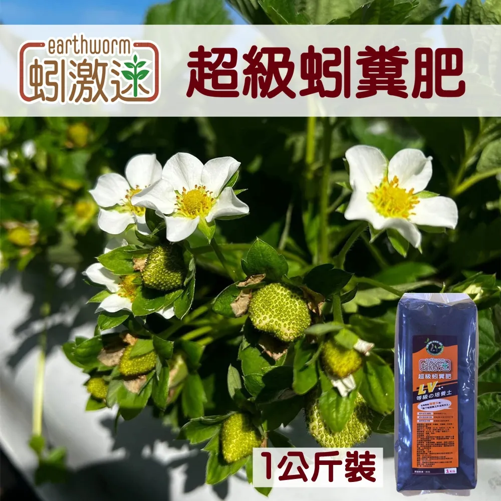 LV級茶道 泡茶鐵壺 台灣精品 大甲鐵壺鐵爐  黃天來大師. &amp;quot;三甲傳爐&amp;quot; 1997年得獎原作.. 歷史價格詳細信息