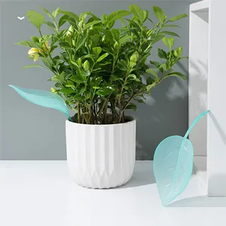 【設計私生活】愛蓮娜1+1+3休閒沙發椅組、木質沙發(高雄市區免運費)200W 歷史價格詳細信息