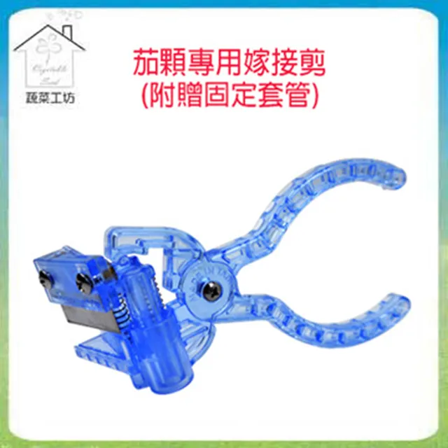 【蔬菜工坊】 嫁接夾(固定夾.蘭花夾)-(大)500入/包 歷史價格詳細信息