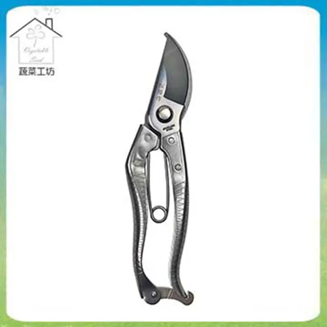 【蔬菜工坊】松格不銹鋼專利芽切剪(寬版39號) 歷史價格詳細信息