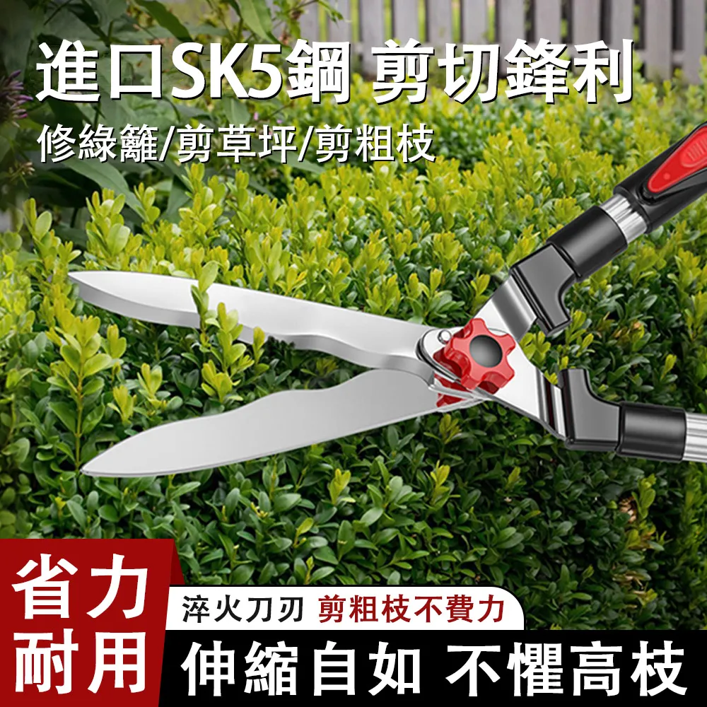 園藝剪果樹剪刀花木修枝剪果枝剪園林苗木修剪刀葡萄剪子園林工具-沐雨家居 歷史價格詳細信息