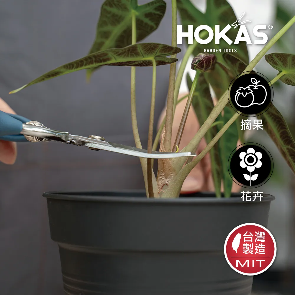 【植物園藝十面埋伏全面防護-防蟲防病專用植物保鏢+植物衛兵1組】 歷史價格詳細信息