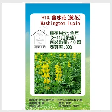 【蔬菜工坊】H10.魯冰花(黃花)種子 歷史價格詳細信息