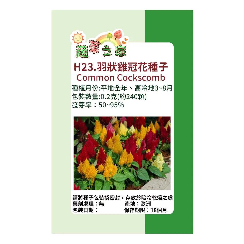 40~60腰超大尺碼工作/休閒純棉T恤 歷史價格詳細信息