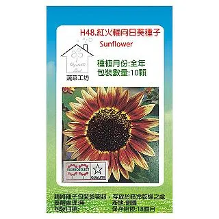 (H48)二手~ DVD 毒梟風暴~試播如圖/歡迎自取~ 歷史價格詳細信息