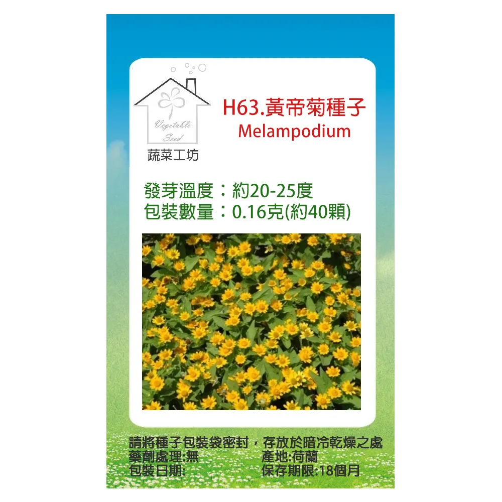 (H63)花錢-狀元及第 五子登科 歷史價格詳細信息