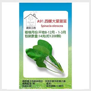 A91.西螺大葉菠菜種子14克(約1200顆) 歷史價格詳細信息