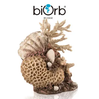 OASE biOrb 貝殼樹造型中柱 歷史價格詳細信息