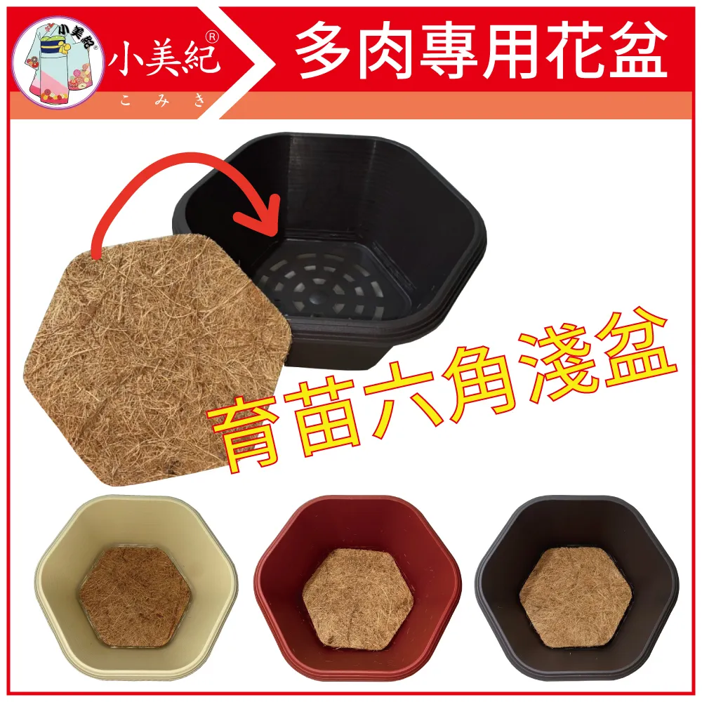 【小美紀】椰纖片5H(園藝資材)14*55cm 5片裝 歷史價格詳細信息