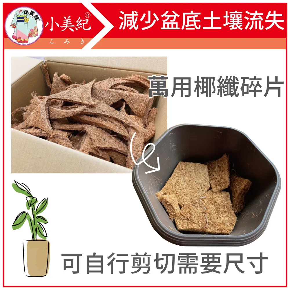 【小美紀】椰纖片5H(園藝資材)14*55cm 5片裝 歷史價格詳細信息