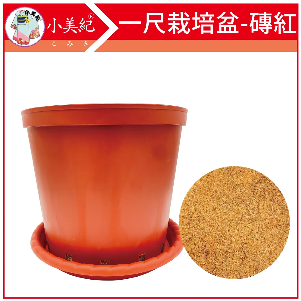 【小美紀】椰纖片5H(園藝資材)14*55cm 5片裝 歷史價格詳細信息