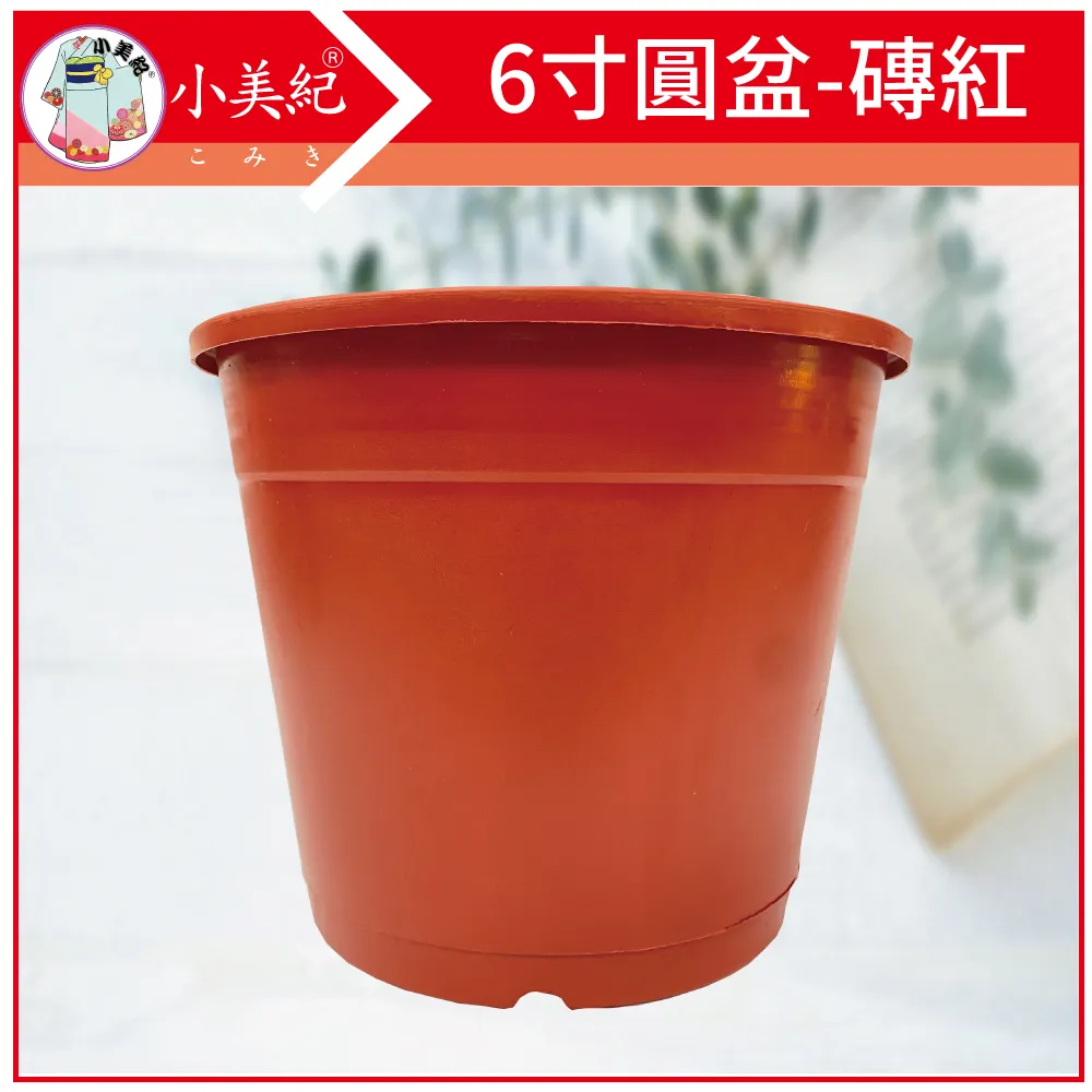 小美紀 6吋花牆單掛盆-加大(含專用椰纖片)-10入裝 歷史價格詳細信息