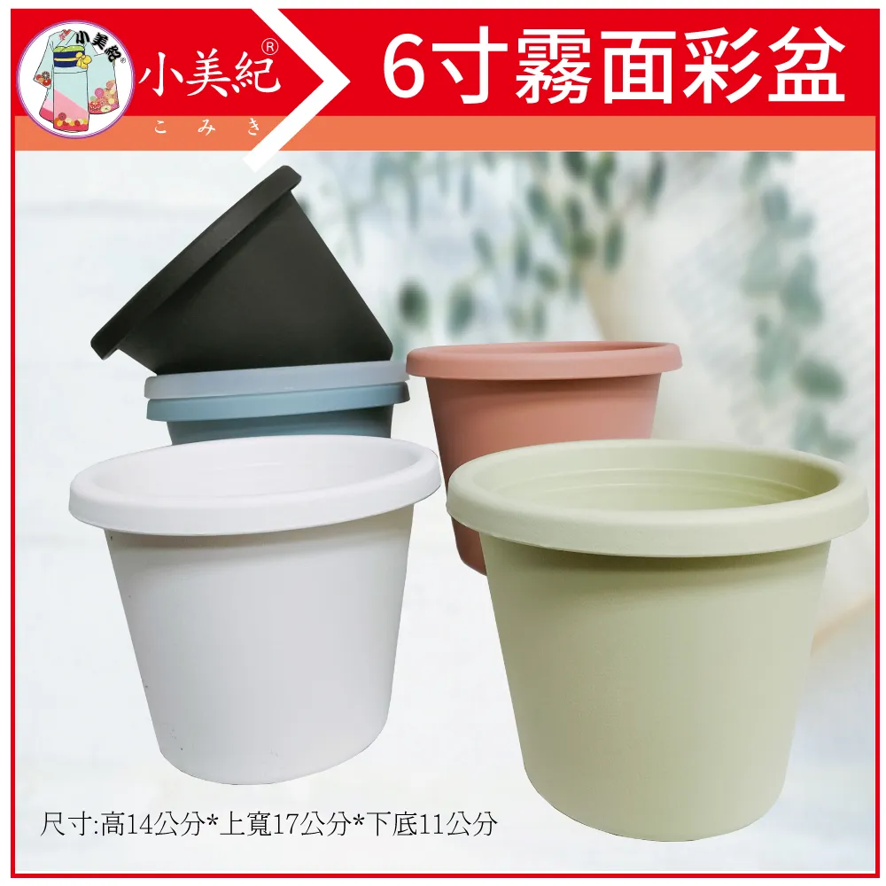 小美紀 6吋花牆單掛盆-加大(含專用椰纖片)-10入裝 歷史價格詳細信息