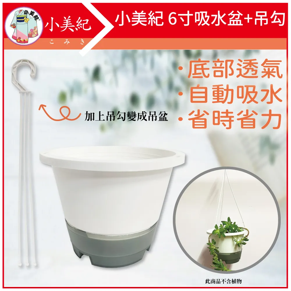 小美紀 6吋花牆單掛盆-加大(含專用椰纖片)-10入裝 歷史價格詳細信息