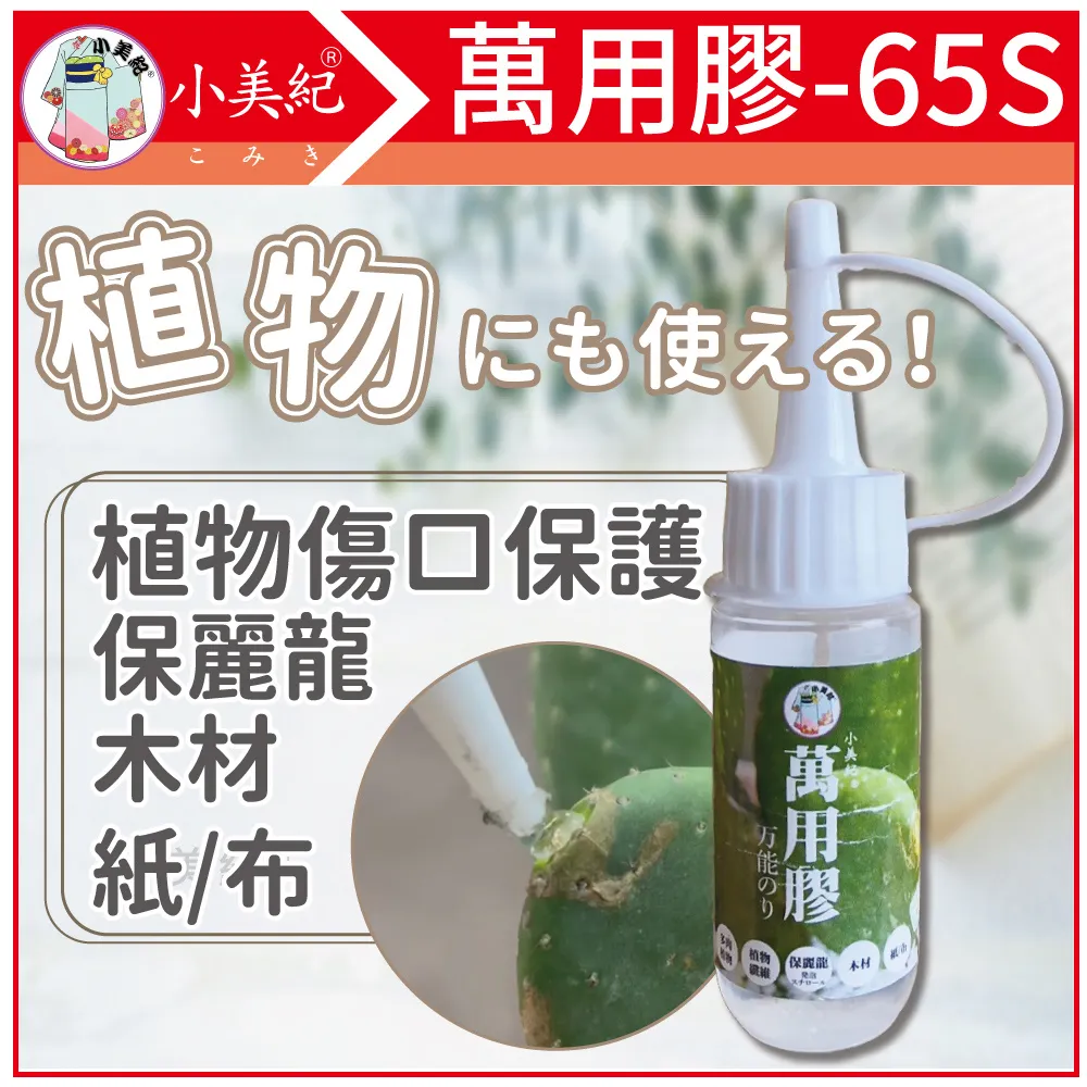 小美紀 萬用名牌6F 歷史價格詳細信息