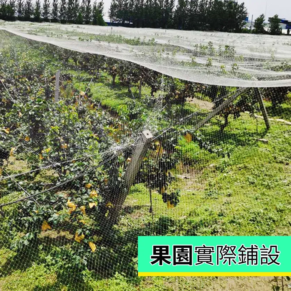 2米x2米3被套四件帶被芯套夏季薄款簡約北歐風學生宿舍床上三件套 歷史價格詳細信息