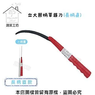 膠柄大菜匙【小北百貨】 歷史價格詳細信息