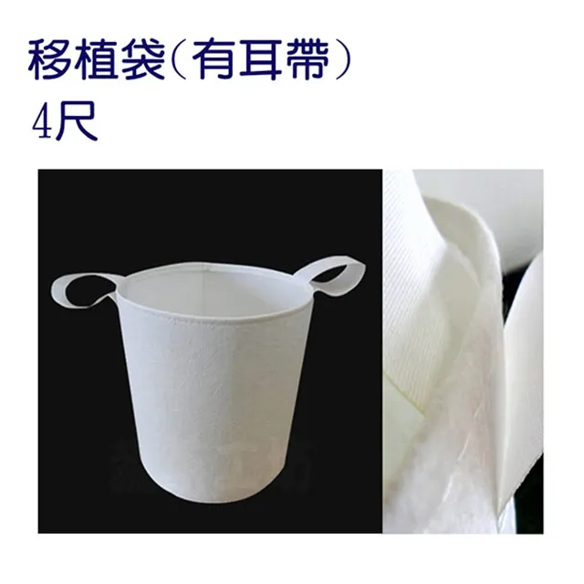 【4尺寸】蔬菜家族玩偶 紅蘿蔔 茄子 玉米 兒童禮物 聖誕節交換禮物【開立發票】  露天市集  全台最大的網路購物市集 歷史價格詳細信息