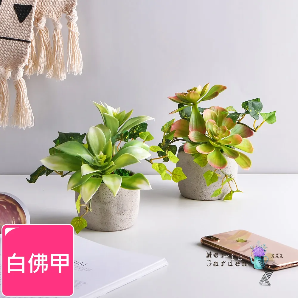 療癒植物容器 - 滿月瓶(DY608)(不包含植物)【絕版品出清】 歷史價格詳細信息