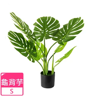 【Meric Garden】北歐風格居家裝飾高仿真大型景觀植栽擺設盆栽（扇型仙人掌） 歷史價格詳細信息