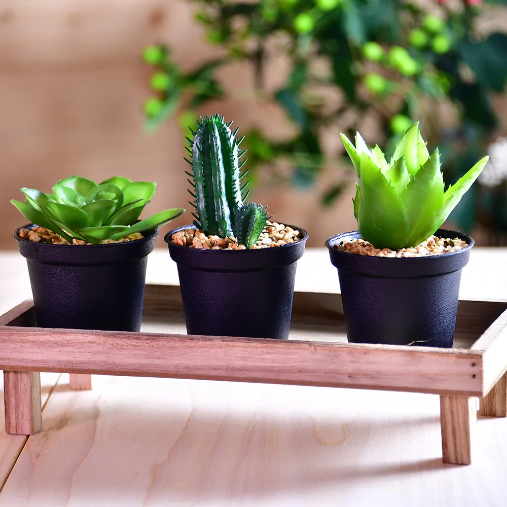 仿真盆栽 綠色植物裝飾 室內假綠植 景觀樹 攝影造景裝飾 綠植 仿真綠植 辦公室盤栽 植物 綠化 裝飾百搭 歷史價格詳細信息