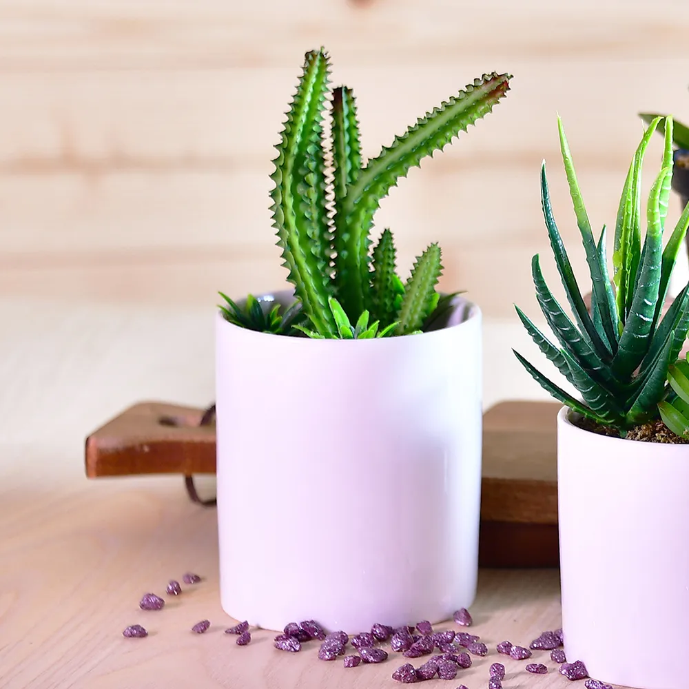 仿真盆栽 綠色植物裝飾 室內假綠植 景觀樹 攝影造景裝飾 綠植 仿真綠植 辦公室盤栽 植物 綠化 裝飾百搭 歷史價格詳細信息