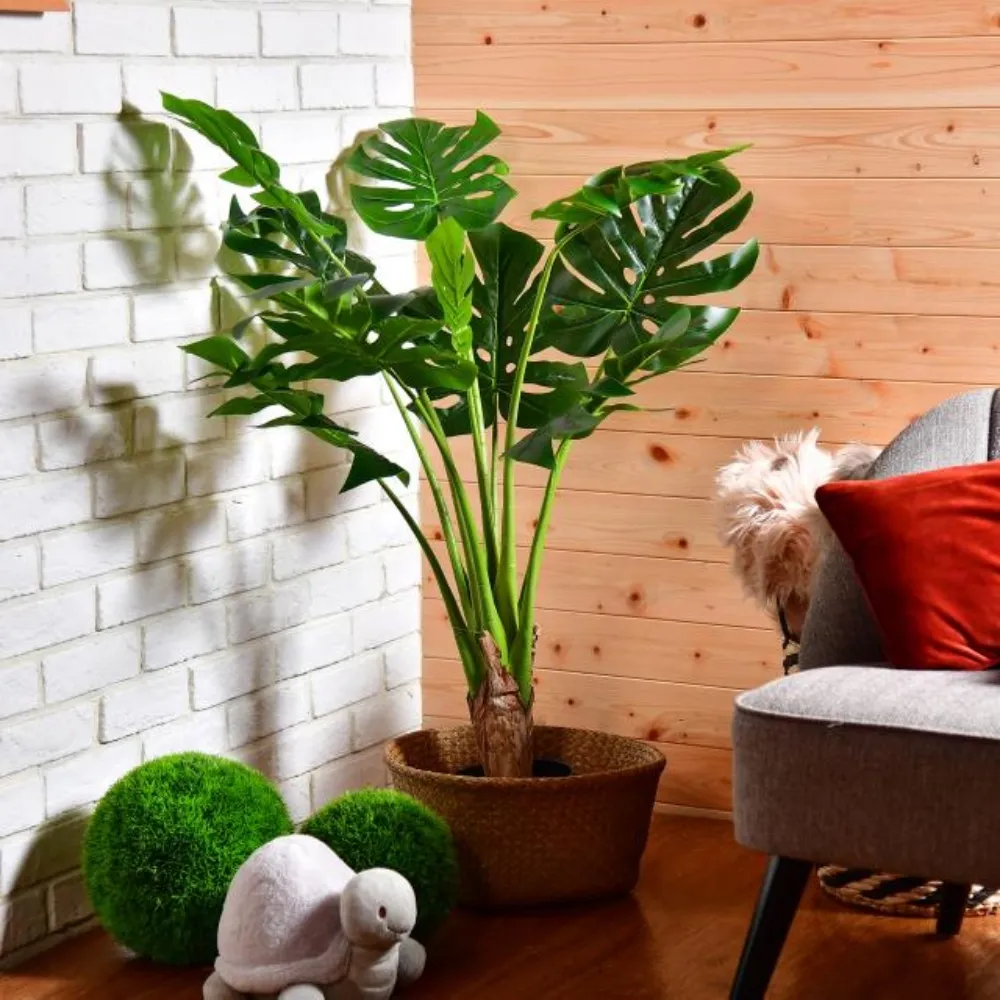仿真盆栽 綠色植物裝飾 室內假綠植 景觀樹 攝影造景裝飾 綠植 仿真綠植 辦公室盤栽 植物 綠化 裝飾百搭 歷史價格詳細信息