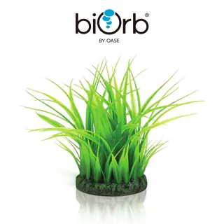 OASE biOrb 仿真藍色軟珊瑚(小) 歷史價格詳細信息