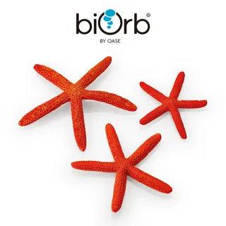 OASE biOrb 仿真深紅軟珊瑚(中) 歷史價格詳細信息