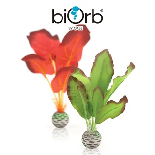 OASE biOrb 小花園裝飾套組15L 歷史價格詳細信息