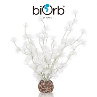 OASE biOrb 小花園裝飾套組15L 歷史價格詳細信息