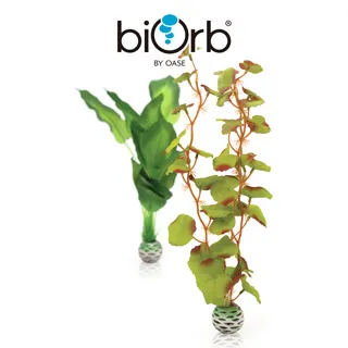 OASE biOrb 中型仿真植物(綠&紫) 歷史價格詳細信息