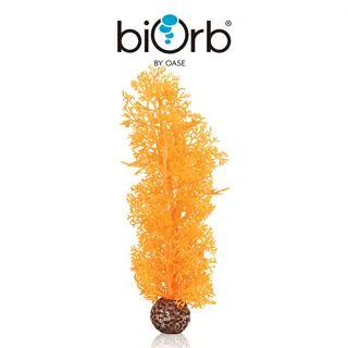 OASE biOrb 仿真橘色海百合 歷史價格詳細信息