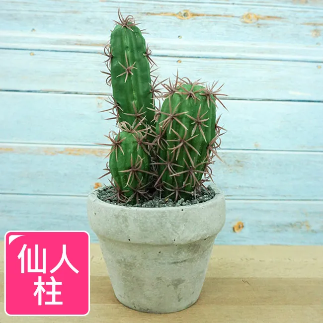 【Meric Garden】高仿真多肉植物療癒手工水泥小盆栽_石蓮 歷史價格詳細信息