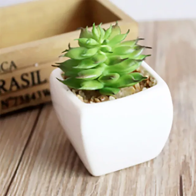 《Stylelife》人造迷你盆栽-寶石蓮 歷史價格詳細信息