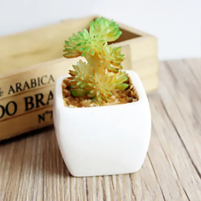 《Stylelife》人造迷你盆栽-寶石蓮 歷史價格詳細信息