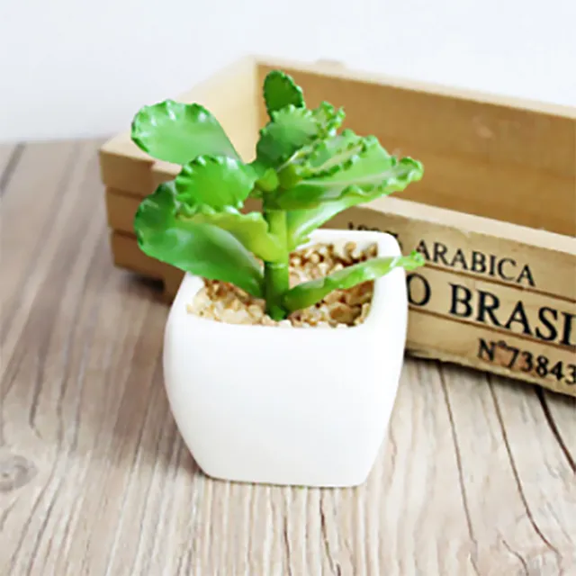 《Stylelife》人造迷你盆栽-寶石蓮 歷史價格詳細信息