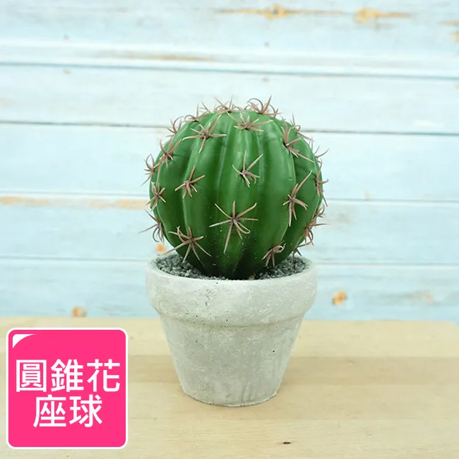 【Meric Garden】高仿真多肉植物療癒手工水泥小盆栽_石蓮 歷史價格詳細信息