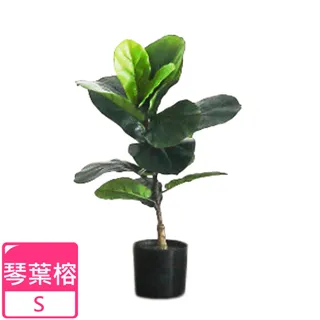 【Meric Garden】北歐風格居家裝飾高仿真大型景觀植栽擺設盆栽（扇型仙人掌） 歷史價格詳細信息