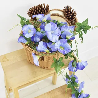 牽牛花牽牛  國畫宣紙 簡易框46* 70 CM 歷史價格詳細信息