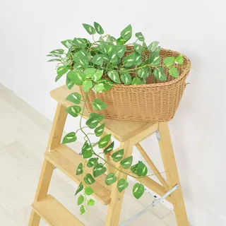 【Meric Garden】仿真石解蘭/蘭花/絹花 歷史價格詳細信息