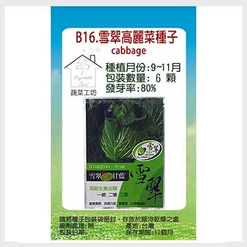 雪翠·62正圈新疆天山翠雪翠一口翠晕染手镯玉镯 歷史價格詳細信息