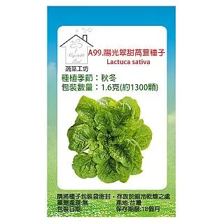 A99新款飛織鞋網布運動鞋休閒鞋男鞋老爹鞋百搭款學生潮鞋 歷史價格詳細信息