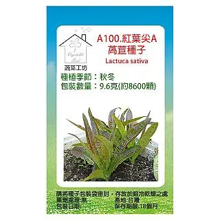 A100 蘇27 殲11三通道固定翼遙控滑翔機 像真飛機航模兒童玩具 歷史價格詳細信息