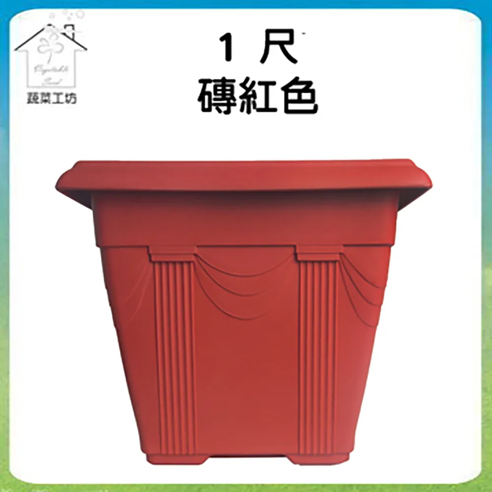 【蔬菜工坊】1尺長槽專用椰纖片 5片/包 歷史價格詳細信息