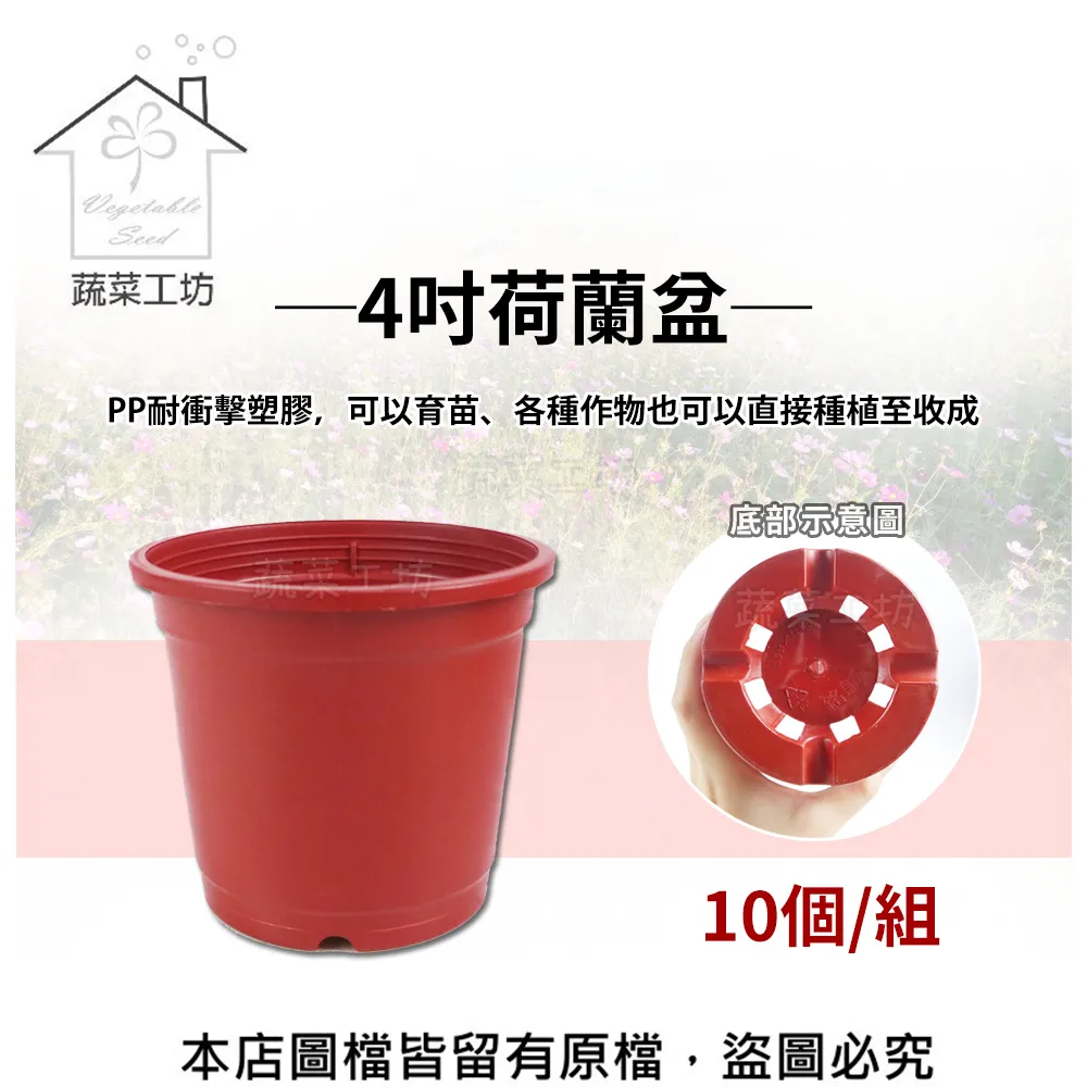 荷蘭盆(栽培盆) 2寸 3寸 11公分 13公分 14.5公分 16.7公分 紅盆 種植盆 花盆 塑膠花盆 蔬菜盆 歷史價格詳細信息